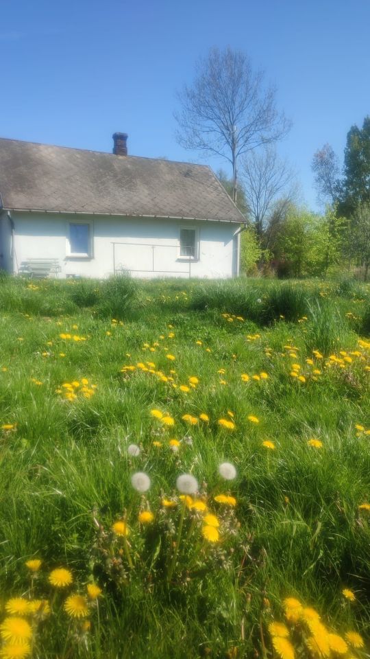 dom wolnostojący Osiny. Zdjęcie 2