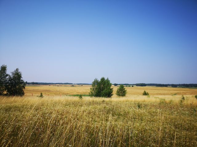 Działka rolna Kleszczewo. Zdjęcie 1