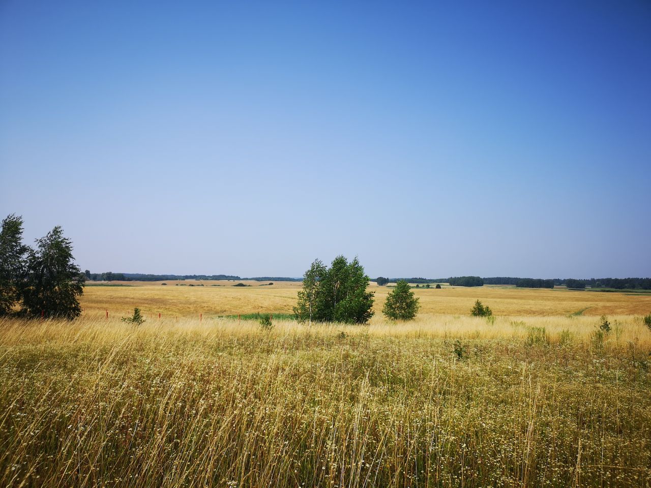 Działka rolna Kleszczewo
