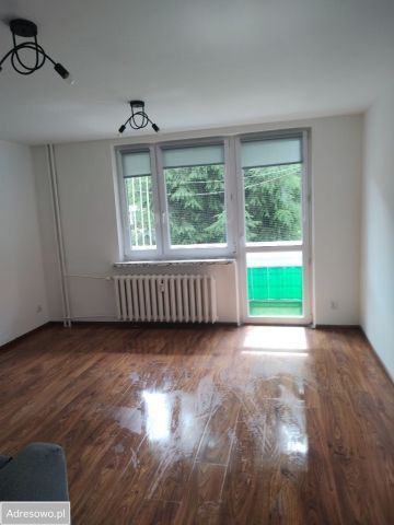 Mieszkanie 2-pokojowe Sosnowiec Dańdówka. Zdjęcie 1