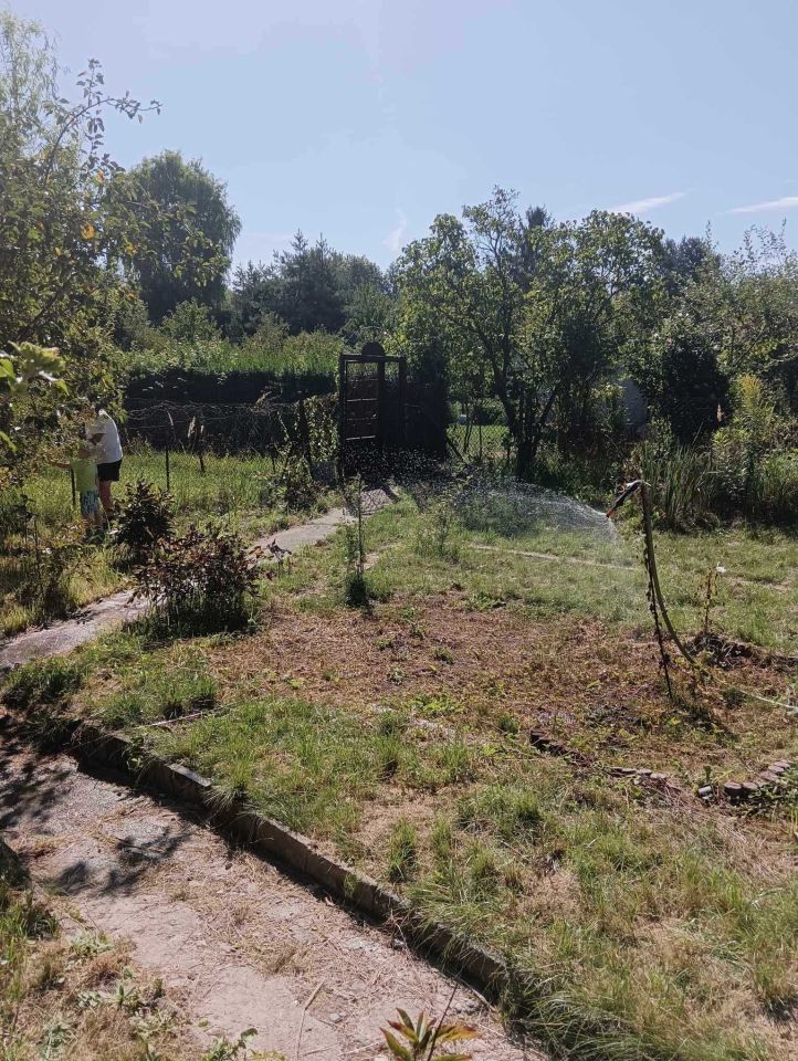 Działka rod Gliwice Trynek, ul. Rybnicka. Zdjęcie 6