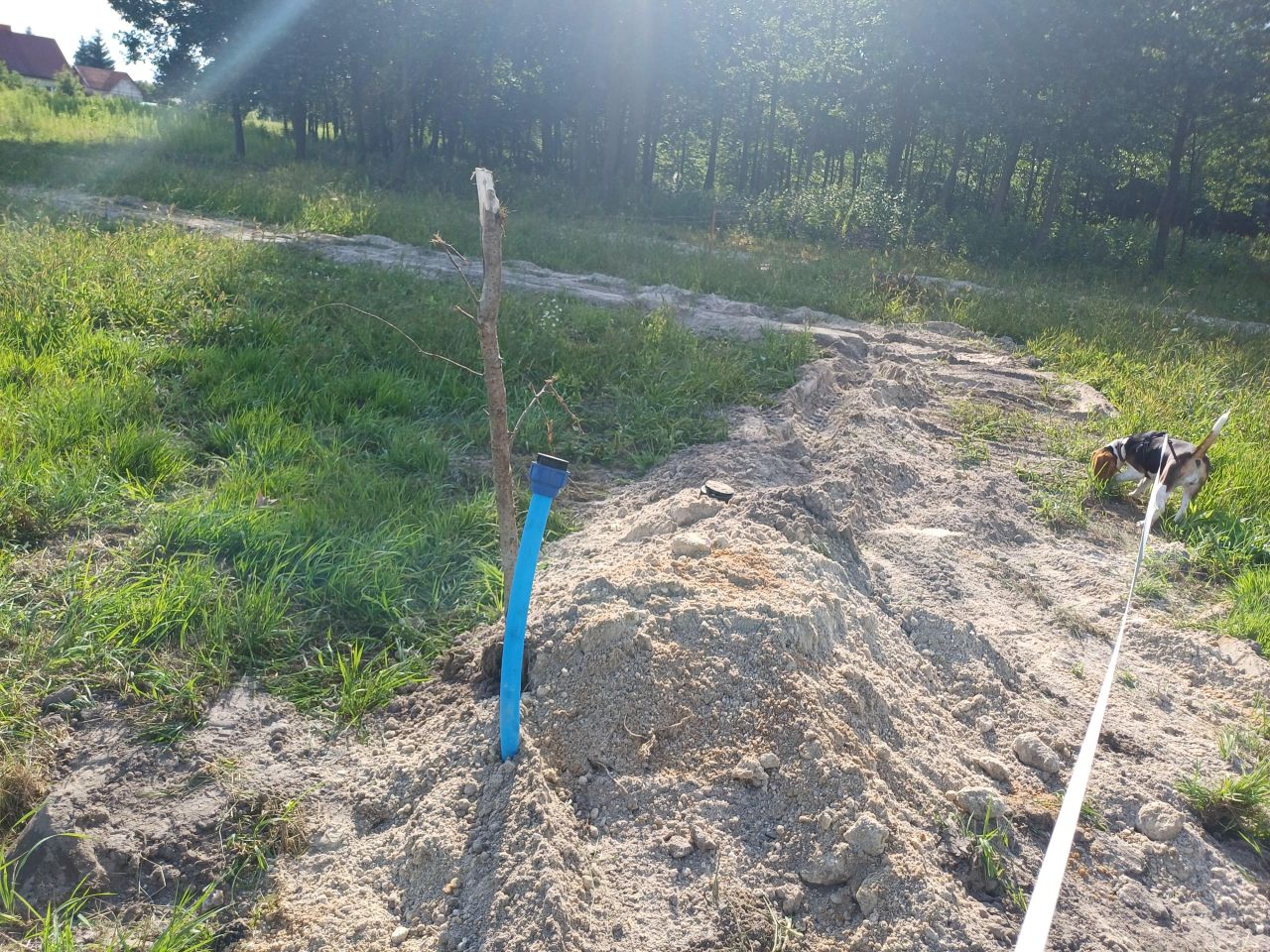 Działka budowlana Lubasz. Zdjęcie 4
