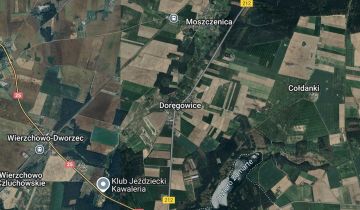 Działka leśna Doręgowice