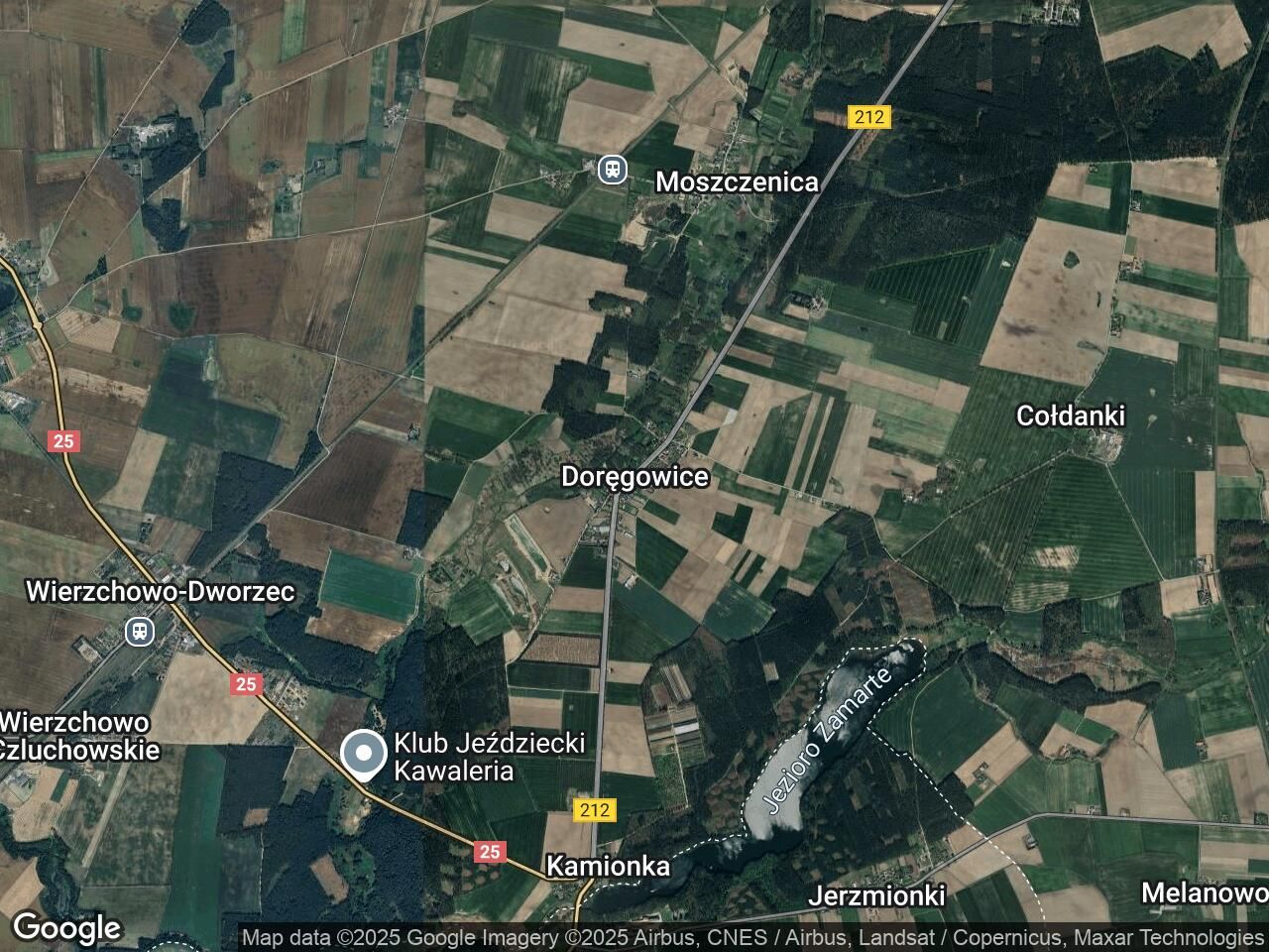 Działka leśna Doręgowice