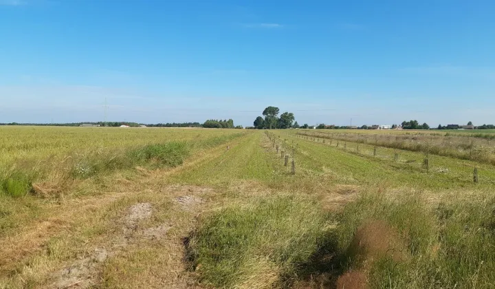 Działka siedliskowa Nowy Sumin