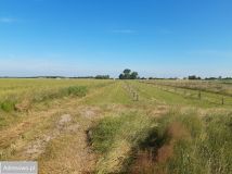 Działka rolno-budowlana Nowy Sumin