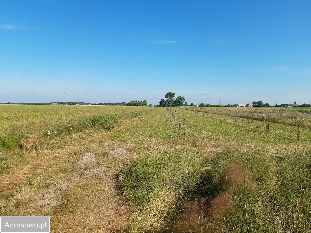 Działka rolno-budowlana Nowy Sumin