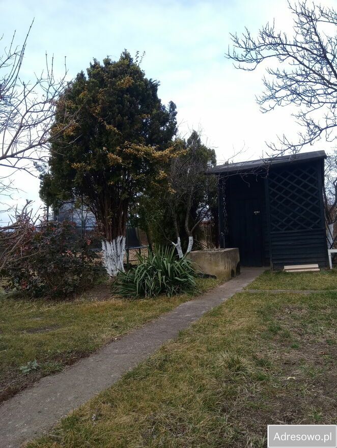 Działka rod Legnica, ul. Kryniczna. Zdjęcie 7