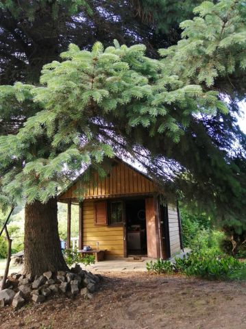 Działka rod Rzeszów, ul. Ciepłownicza. Zdjęcie 1