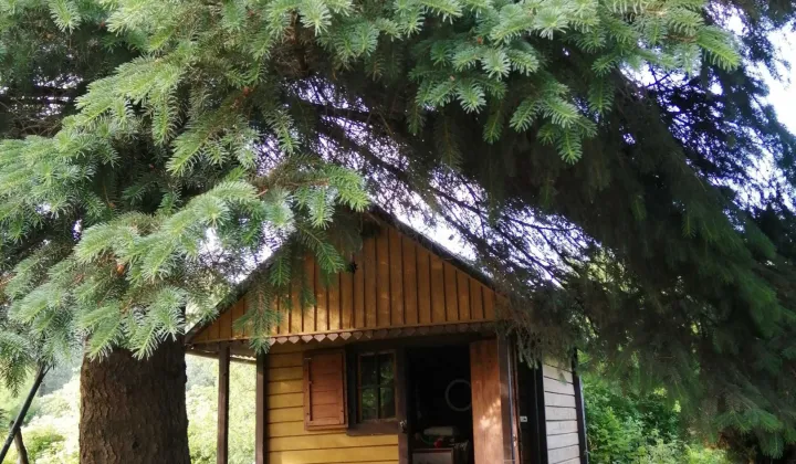 Działka rod Rzeszów, ul. Ciepłownicza