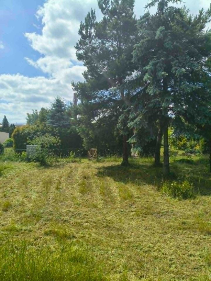 Działka rod Łódź Widzew, ul. Krokusowa. Zdjęcie 6