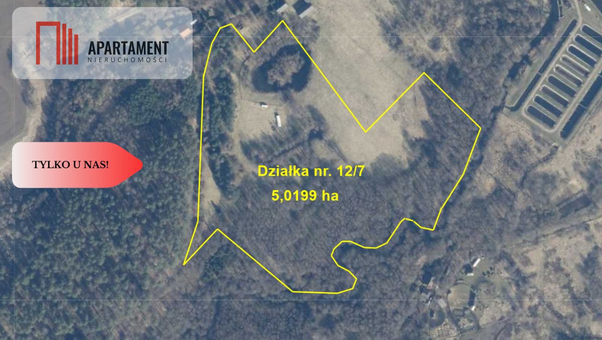 Działka siedliskowa Buszyno. Zdjęcie 3