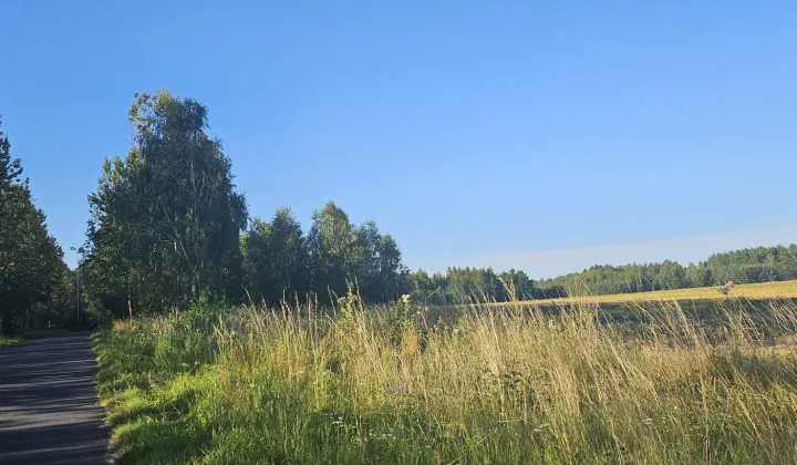 Działka rolna Wodynie, ul. Kościelna