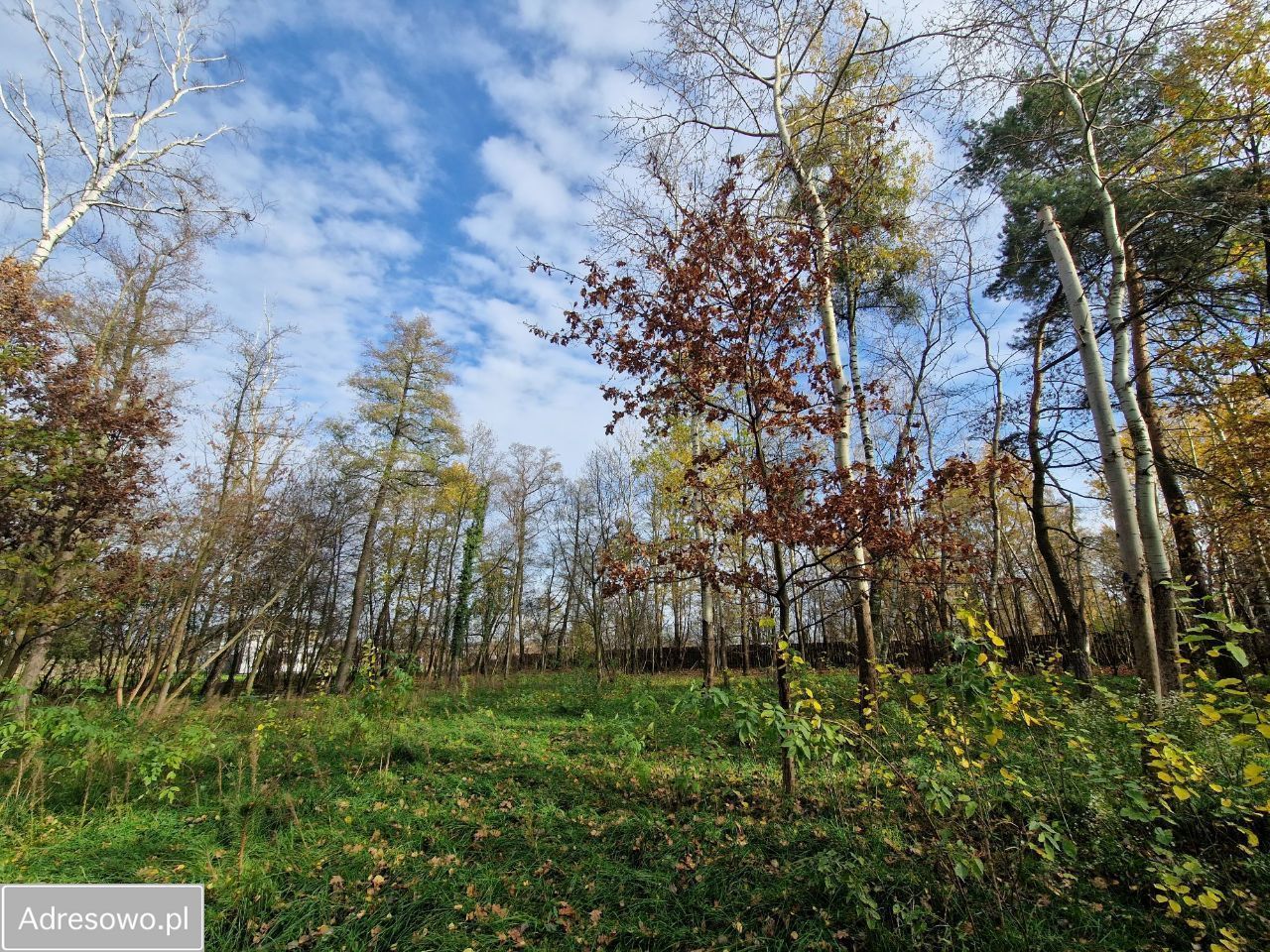 Działka budowlana Cholewy. Zdjęcie 6
