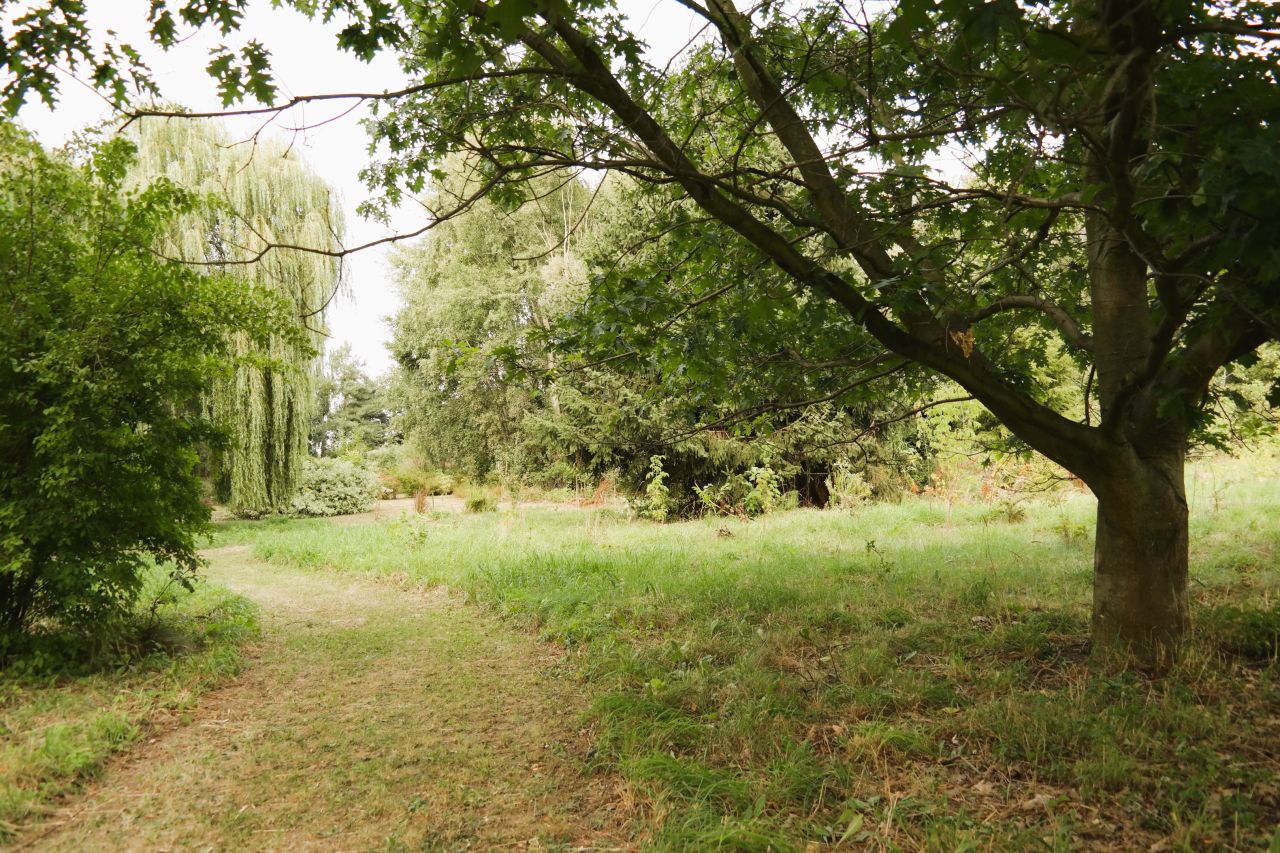 dom wolnostojący, 6 pokoi Nowe Gnatowice. Zdjęcie 18