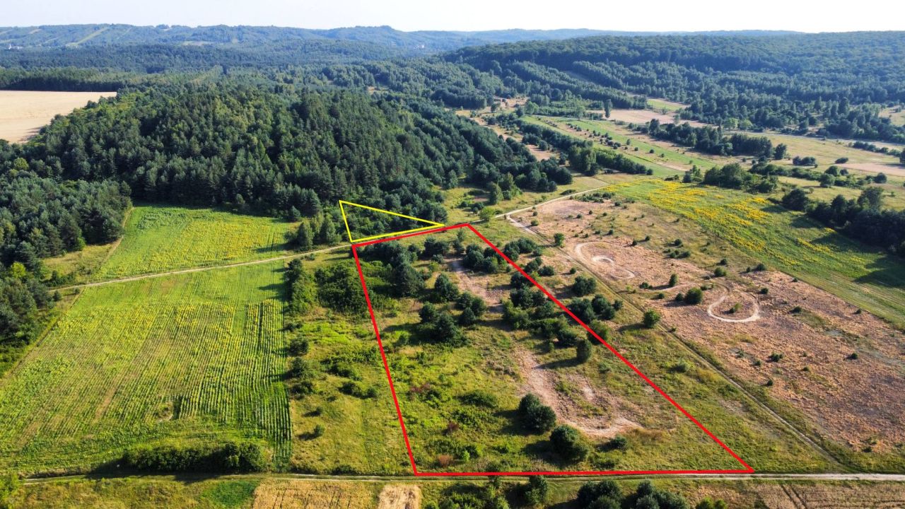 Działka rekreacyjna Złoty Potok. Zdjęcie 4