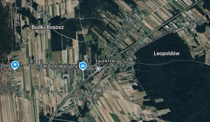 Działka leśna Leopoldów Falentyn, Zielona