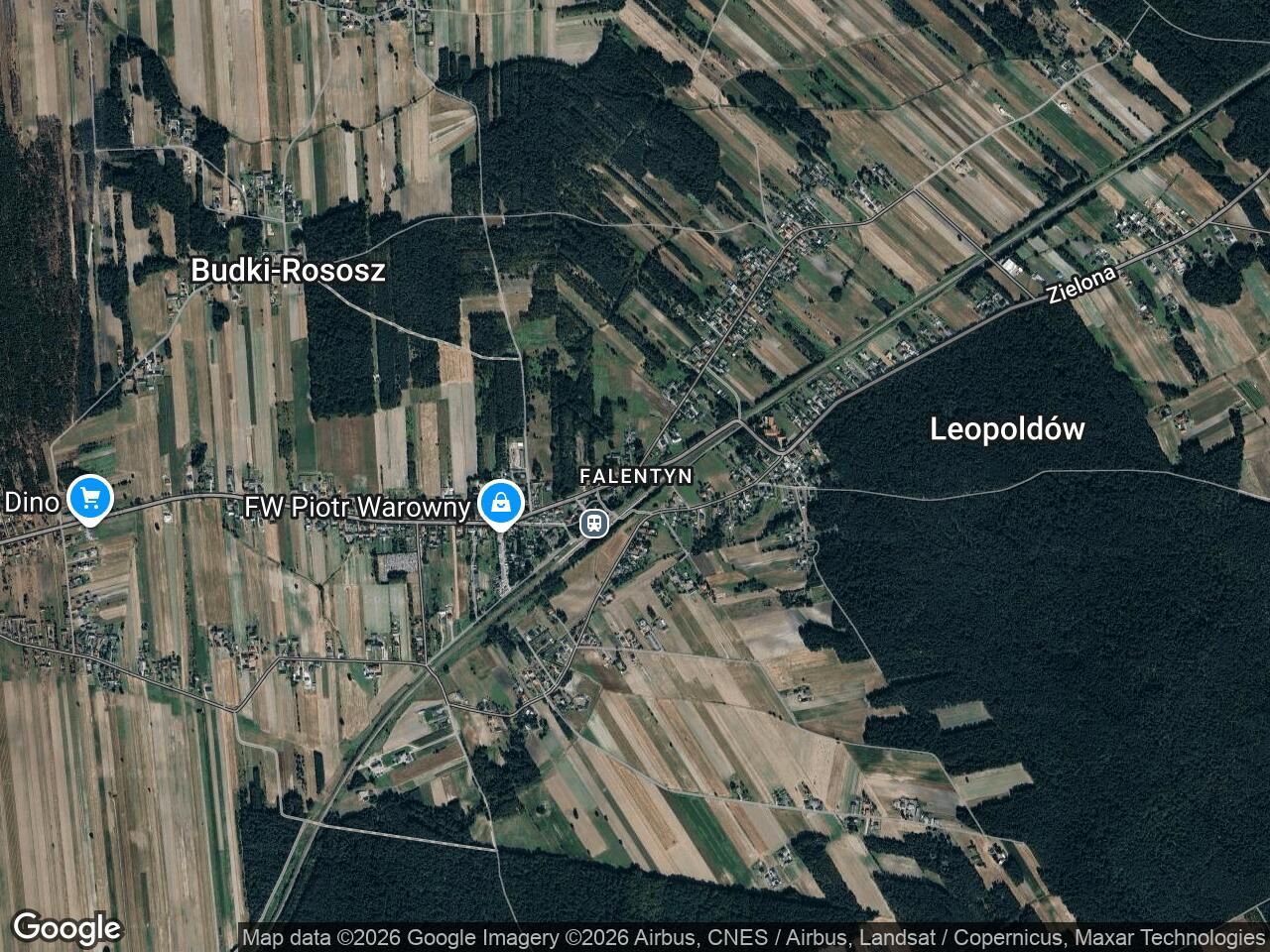 Działka leśna Leopoldów Falentyn, Zielona. Zdjęcie 1