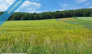 Działka rolno-budowlana Osiek nad Notecią