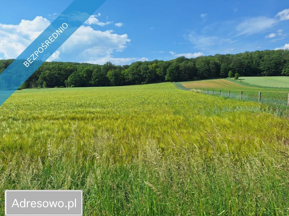 Działka rolno-budowlana Osiek nad Notecią. Zdjęcie 2