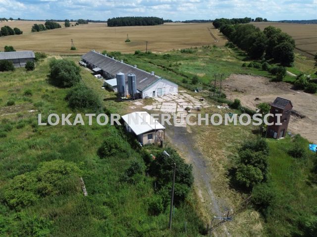 Hala/magazyn Rutwica. Zdjęcie 3