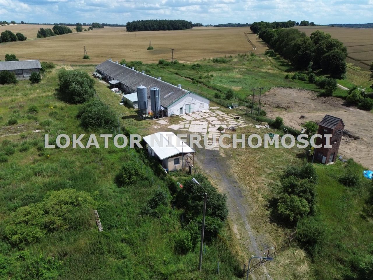 Hala/magazyn Rutwica. Zdjęcie 3