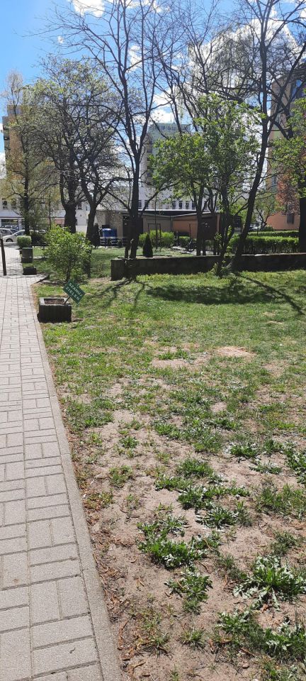 Mieszkanie 2-pokojowe Bydgoszcz Błonie, Gałczyńskiego. Zdjęcie 11