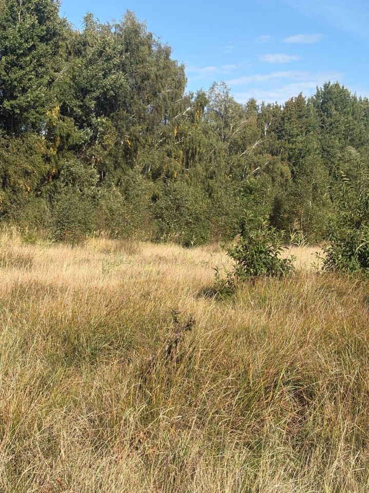 Działka budowlana Niedźwiedź. Zdjęcie 5
