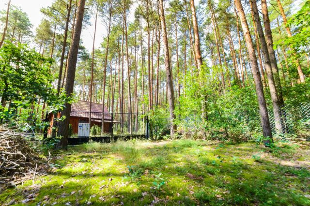 Działka rekreacyjna Poddębie, ul. Radosna. Zdjęcie 1