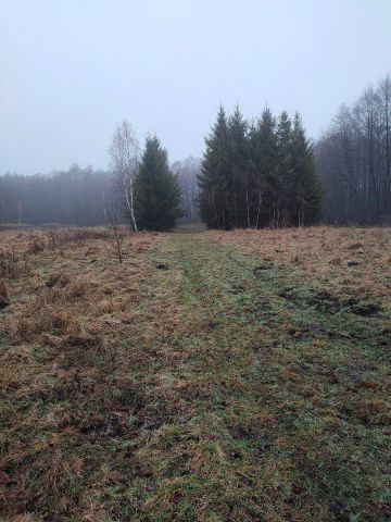 Działka budowlana Jeżewo. Zdjęcie 1