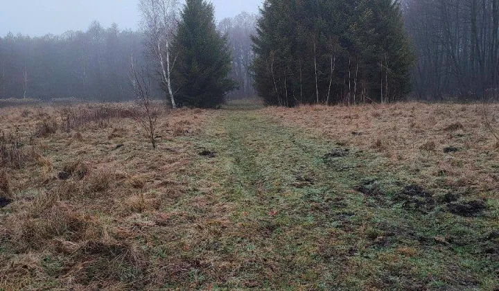 Działka budowlana Jeżewo