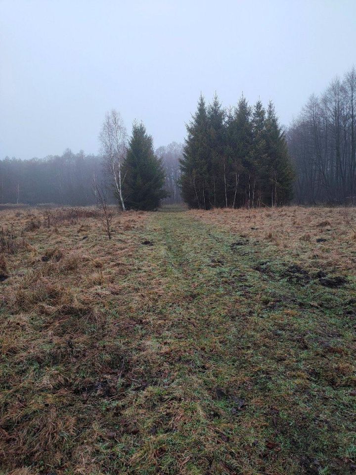 Działka budowlana Jeżewo