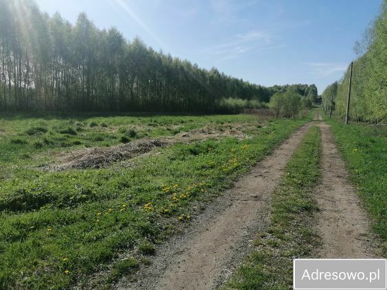 Działka budowlana Siedlec Duży, ul. Jana Pawła II. Zdjęcie 1