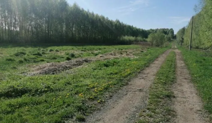Działka siedliskowa Siedlec Duży, ul. Jana Pawła II