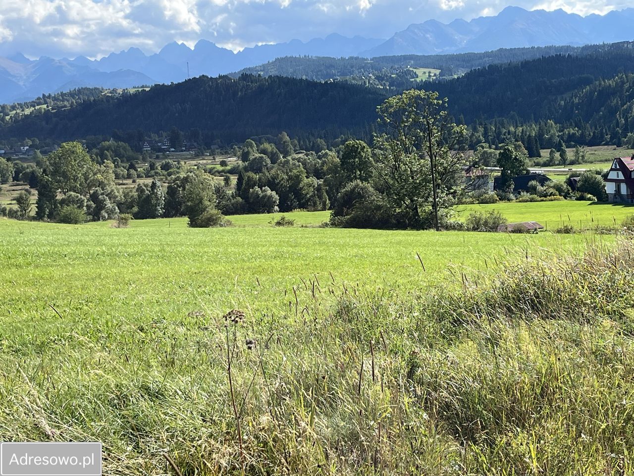 Działka inwestycyjna Czarna Góra. Zdjęcie 6