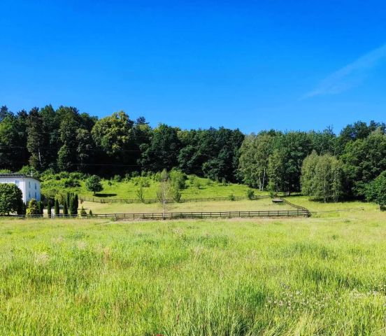 Działka budowlana Jelenia Góra Czarne, ul. Jagodowa. Zdjęcie 1