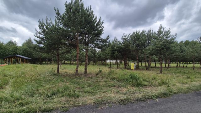 Działka budowlana Białystok Dojlidy, ul. Margerytki. Zdjęcie 1