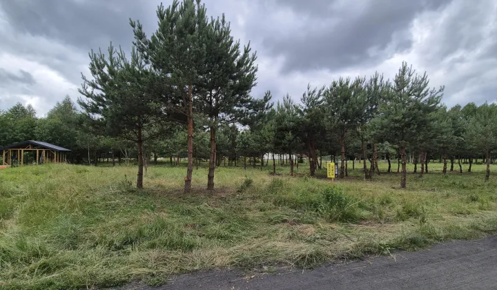 Działka budowlana Białystok Dojlidy, ul. Margerytki