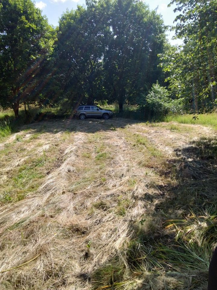 Działka budowlana Wiewiórki. Zdjęcie 2