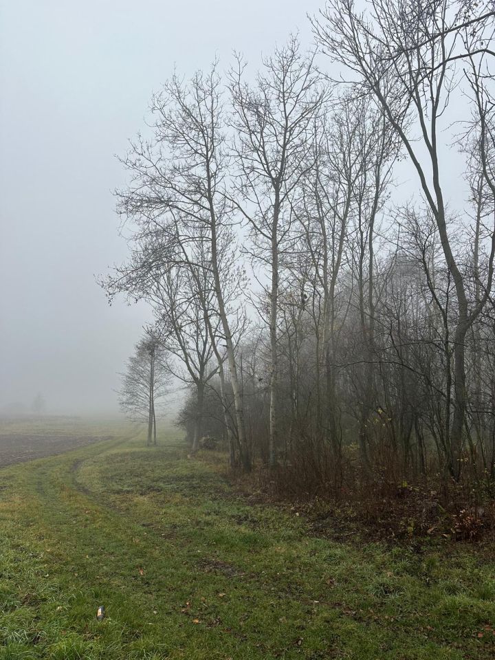 Działka rolna Bystrzanów, ul. Królewska. Zdjęcie 4