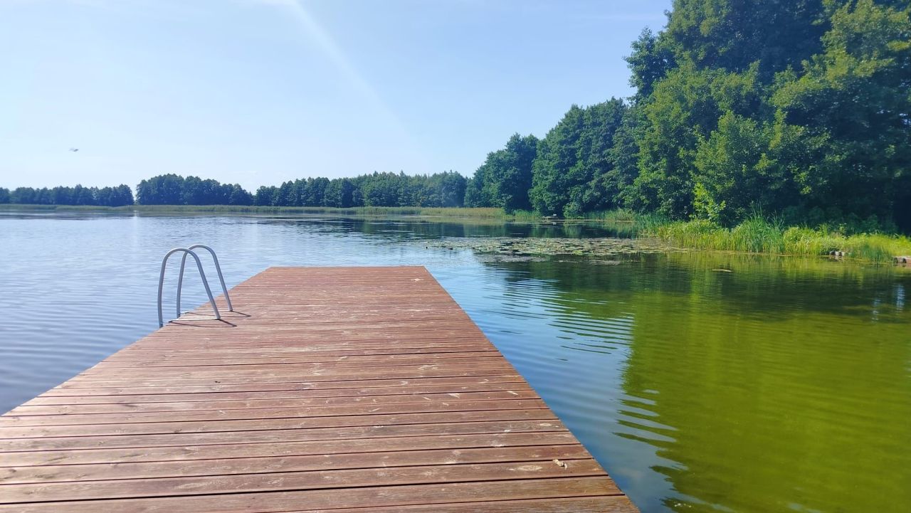 Działka rolno-budowlana Zalesie Królewskie. Zdjęcie 6