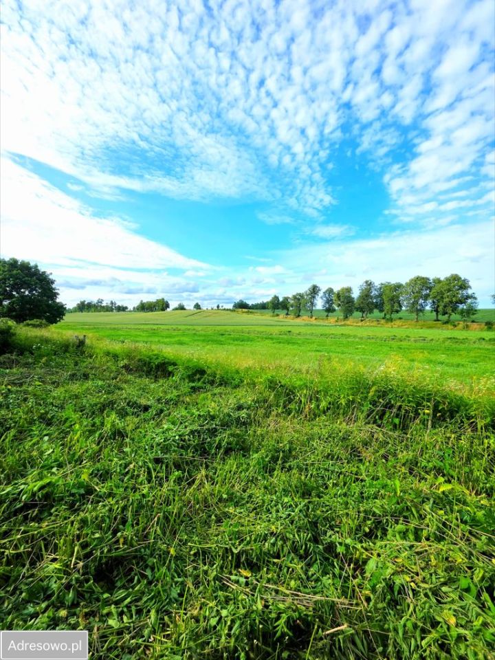 dom szeregowy, 2 pokoje Tarławki. Zdjęcie 6