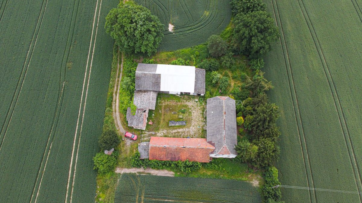 Działka siedliskowa Nowa Wieś Złotoryjska. Zdjęcie 3