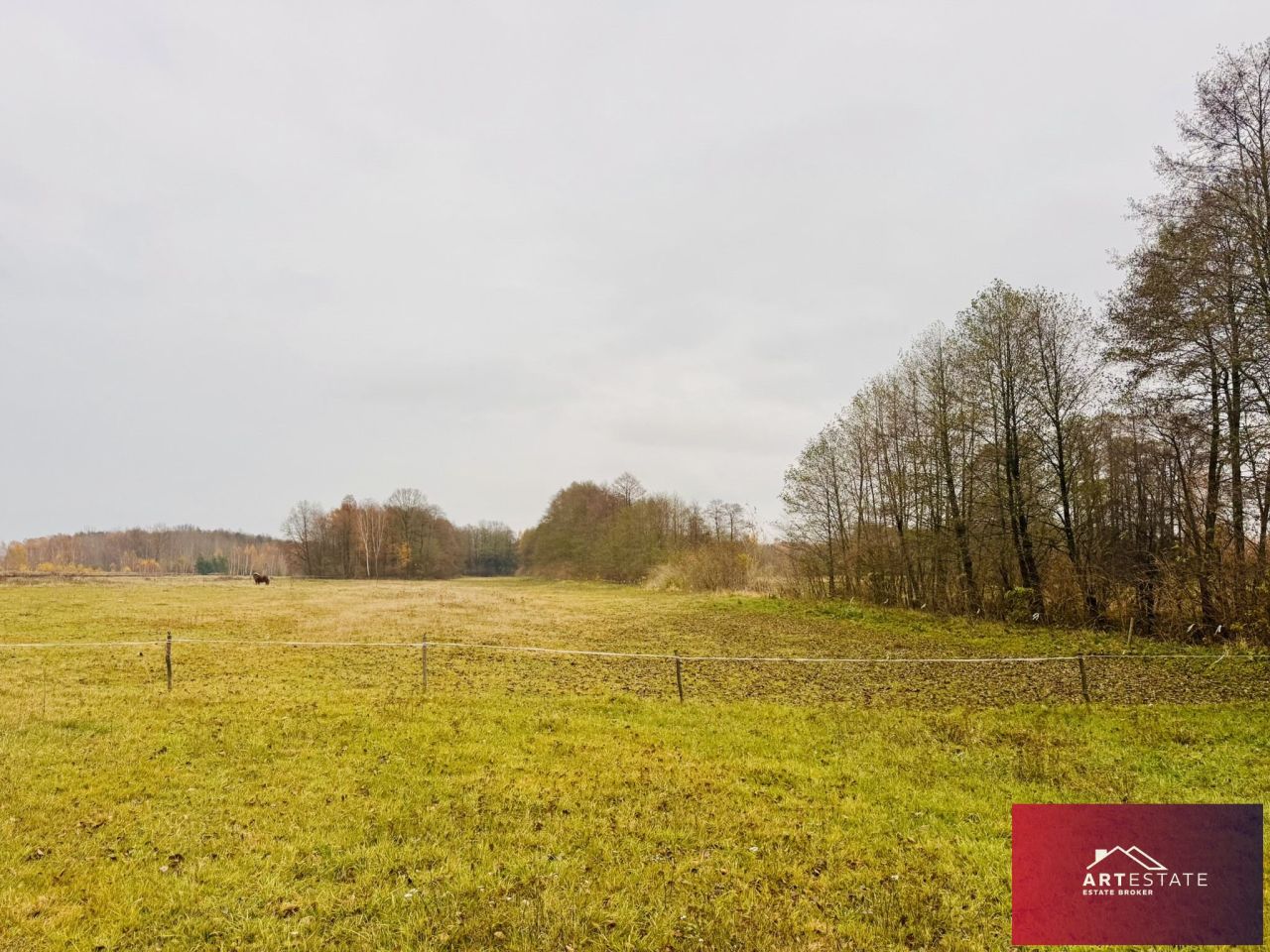 Działka rekreacyjna Nowy Adamów. Zdjęcie 3