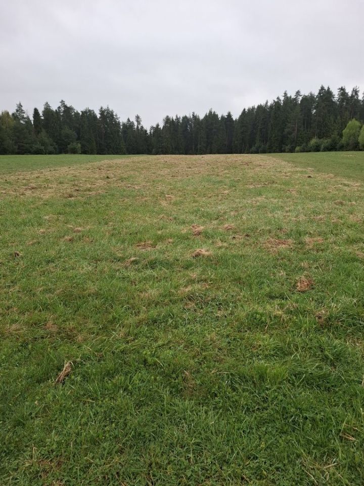 Działka rolna Harklowa. Zdjęcie 1