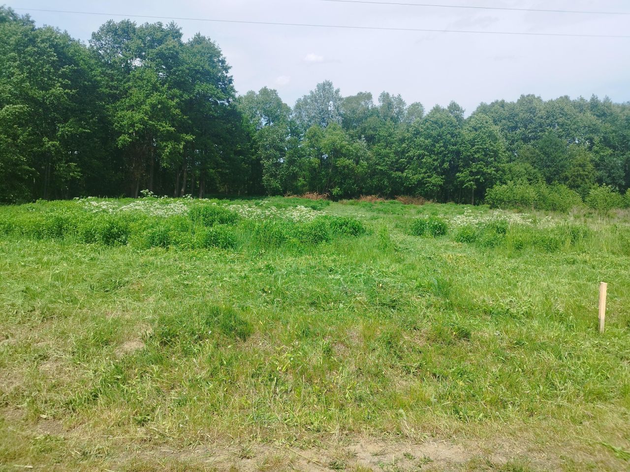 Działka budowlana Zboiska, ul. Żurawia. Zdjęcie 3