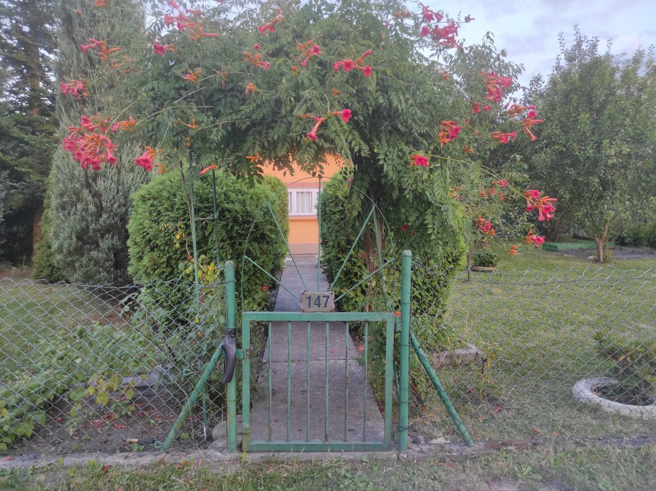 Działka rod Zabrze, ul. Malinowa. Zdjęcie 6