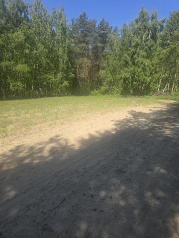Działka leśna Drochówka. Zdjęcie 4