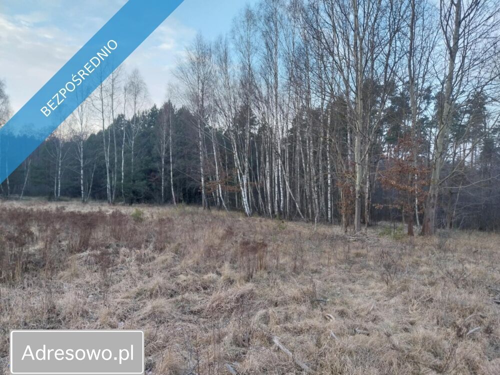 Działka rolna Marysin. Zdjęcie 9