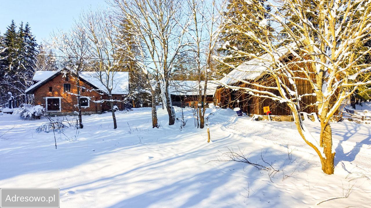 siedlisko, 5 pokoi Nowe Kawkowo. Zdjęcie 17